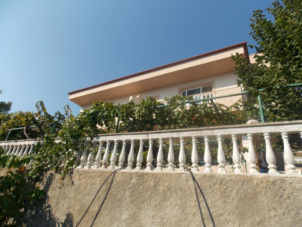 Guest House Vila Bega ساراندا المظهر الخارجي الصورة