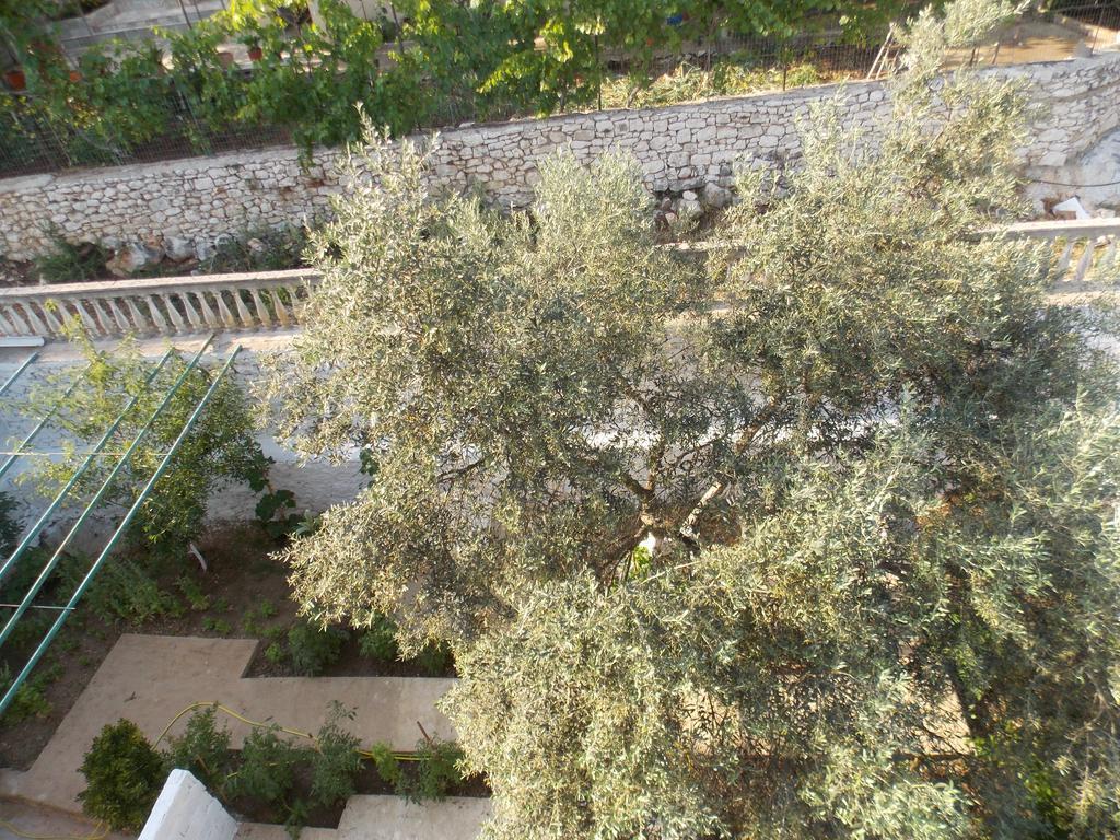 Guest House Vila Bega ساراندا المظهر الخارجي الصورة
