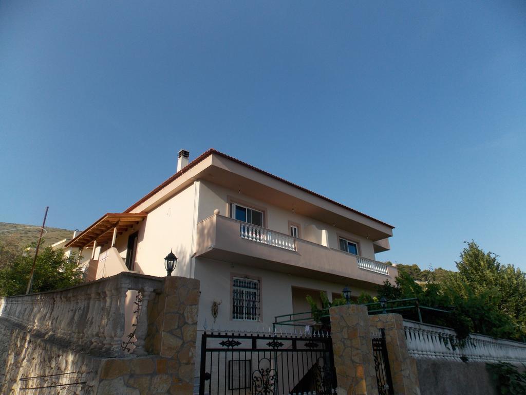 Guest House Vila Bega ساراندا المظهر الخارجي الصورة
