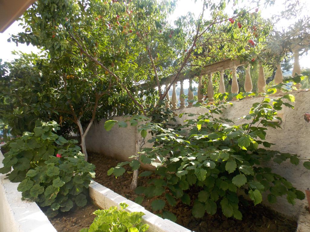 Guest House Vila Bega ساراندا المظهر الخارجي الصورة