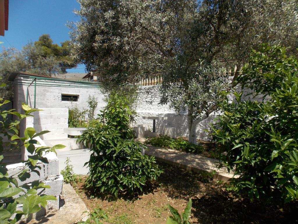 Guest House Vila Bega ساراندا المظهر الخارجي الصورة