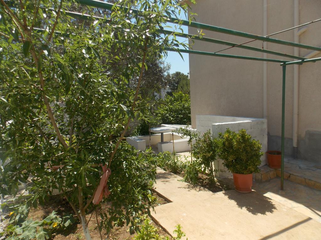 Guest House Vila Bega ساراندا المظهر الخارجي الصورة